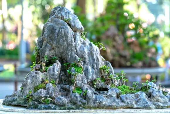 Đá cảnh